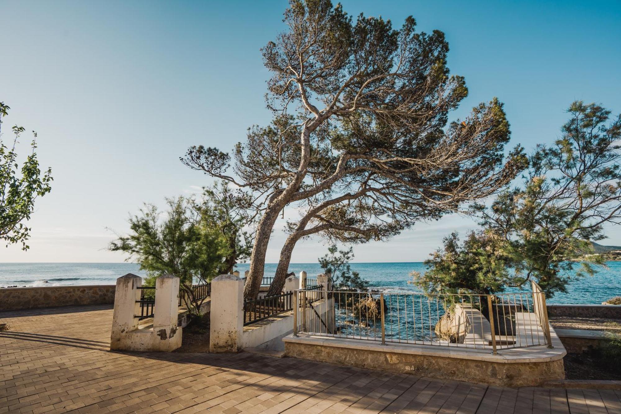 Appartement Sa Punta Duplex Cala Ratjada à Cala Ratjada  Extérieur photo